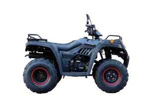 Zanella Cuatriciclo G Force 250cc