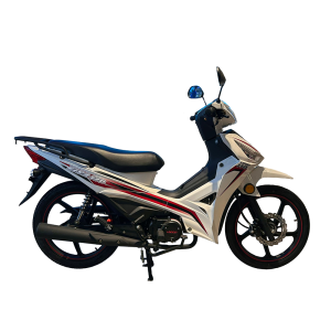 Loncin Visa 110